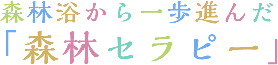 森林浴から一歩進んだ「森林セラピー」