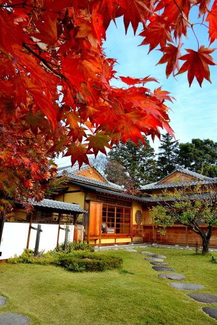 紅葉 市街地 山梨市観光協会