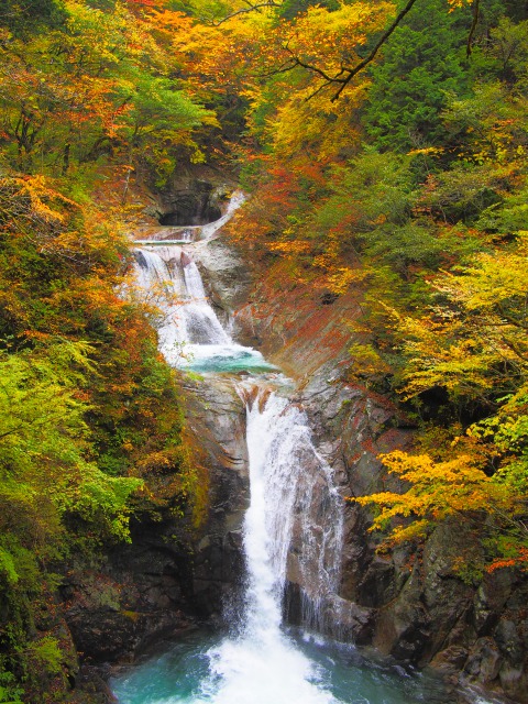 紅葉 西沢渓谷 山梨市観光協会