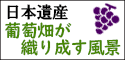 日本遺産「葡萄畑が織り成す風景」