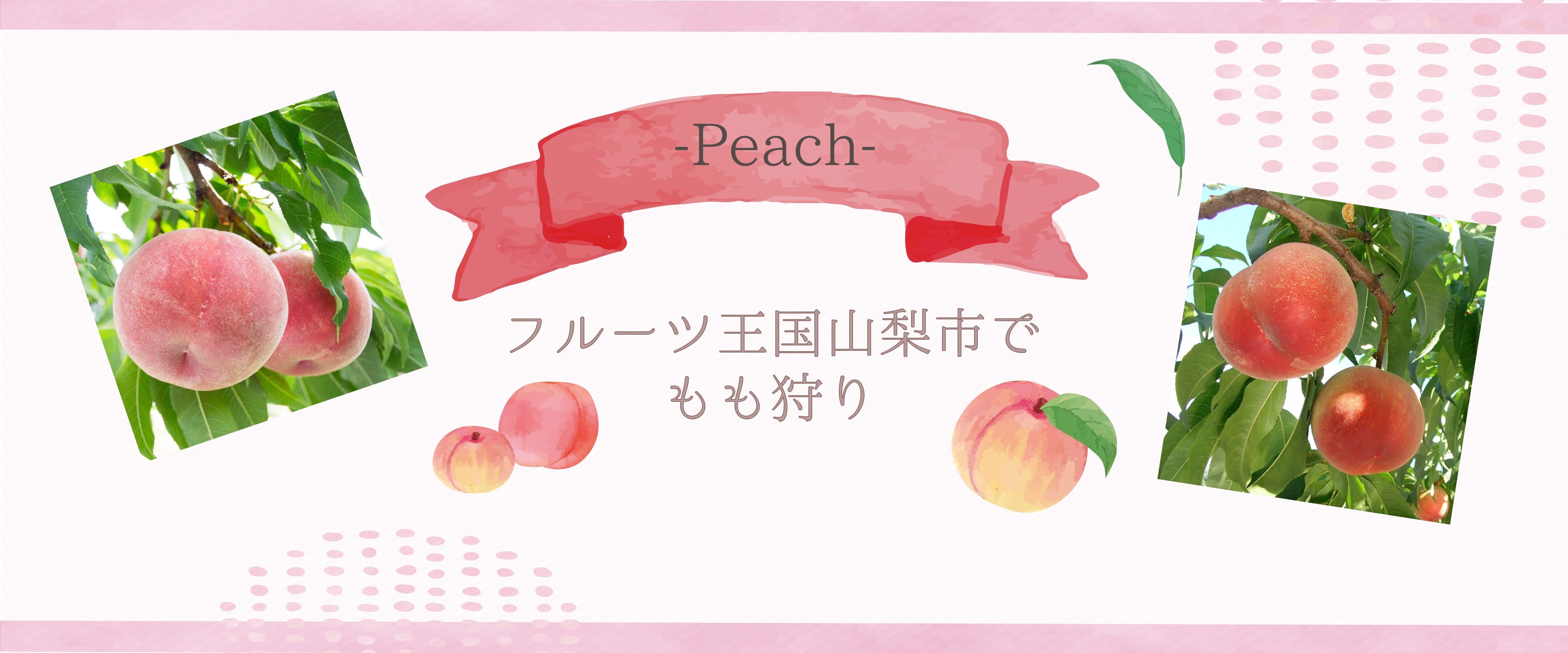 もも